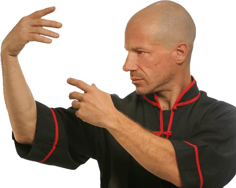 Joshin Robert Bogatin - Qigong